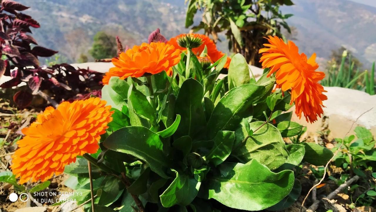 Patlekhet Eco Farmhouse Dhulikhel Ngoại thất bức ảnh