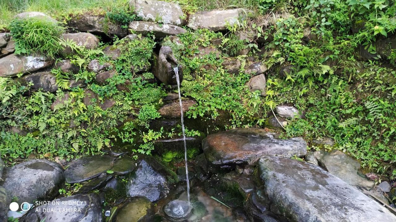 Patlekhet Eco Farmhouse Dhulikhel Ngoại thất bức ảnh